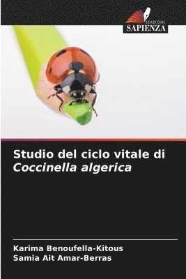 Studio del ciclo vitale di Coccinella algerica 1