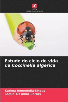 Estudo do ciclo de vida da Coccinella algerica 1