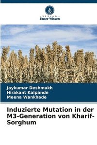 bokomslag Induzierte Mutation in der M3-Generation von Kharif-Sorghum