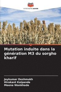 bokomslag Mutation induite dans la gnration M3 du sorgho kharif