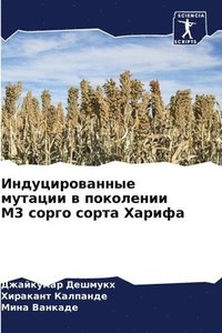 bokomslag &#1048;&#1085;&#1076;&#1091;&#1094;&#1080;&#1088;&#1086;&#1074;&#1072;&#1085;&#1085;&#1099;&#1077; &#1084;&#1091;&#1090;&#1072;&#1094;&#1080;&#1080; &#1074;