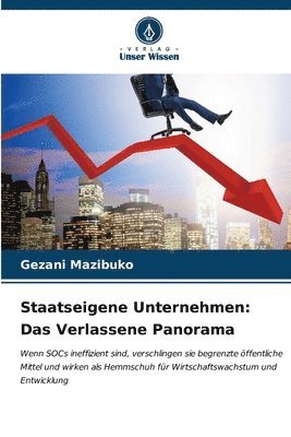 bokomslag Staatseigene Unternehmen