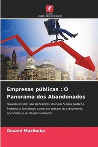 bokomslag Empresas pblicas