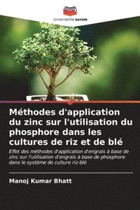 bokomslag Mthodes d'application du zinc sur l'utilisation du phosphore dans les cultures de riz et de bl
