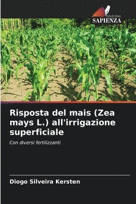 Risposta del mais (Zea mays L.) all'irrigazione superficiale 1