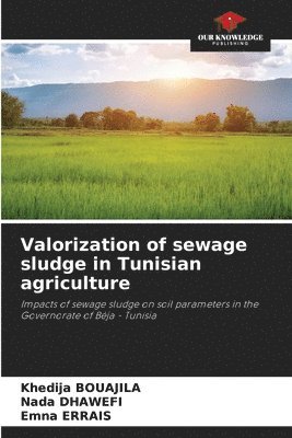 bokomslag Valorization of sewage sludge in Tunisian agriculture