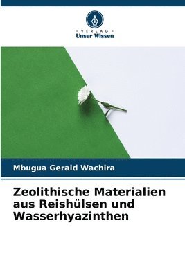 bokomslag Zeolithische Materialien aus Reishlsen und Wasserhyazinthen