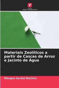 bokomslag Materiais Zeolticos a partir de Cascas de Arroz e Jacinto de gua