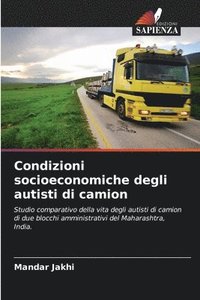 bokomslag Condizioni socioeconomiche degli autisti di camion