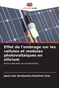 bokomslag Effet de l'ombrage sur les cellules et modules photovoltaques en silicium