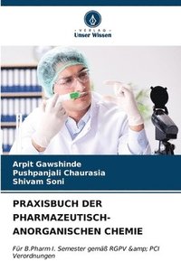 bokomslag Praxisbuch Der Pharmazeutisch-Anorganischen Chemie