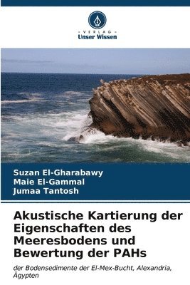 bokomslag Akustische Kartierung der Eigenschaften des Meeresbodens und Bewertung der PAHs