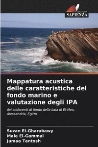 bokomslag Mappatura acustica delle caratteristiche del fondo marino e valutazione degli IPA
