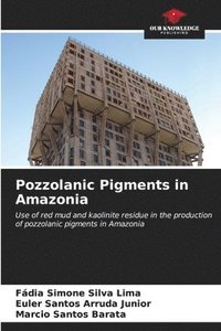 bokomslag Pozzolanic Pigments in Amazonia