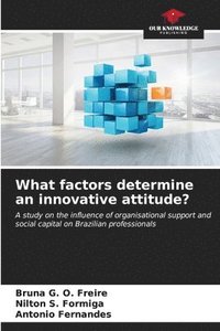bokomslag What factors determine an innovative attitude?
