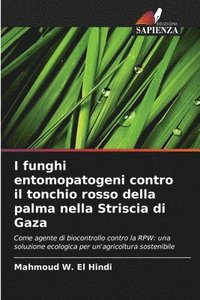 bokomslag I funghi entomopatogeni contro il tonchio rosso della palma nella Striscia di Gaza