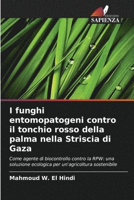 I funghi entomopatogeni contro il tonchio rosso della palma nella Striscia di Gaza 1