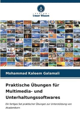 bokomslag Praktische bungen fr Multimedia- und Unterhaltungssoftwares