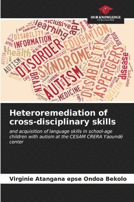 bokomslag Heteroremediation of cross-disciplinary skills