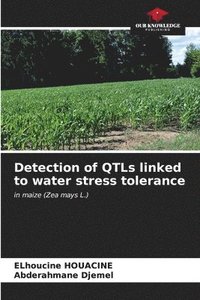 bokomslag Detection of QTLs linked to water stress tolerance
