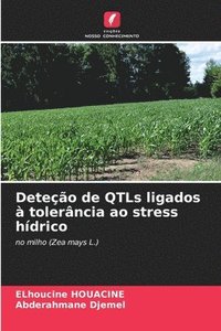 bokomslag Deteo de QTLs ligados  tolerncia ao stress hdrico