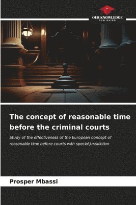 The concept of reasonable time before the criminal courts 1