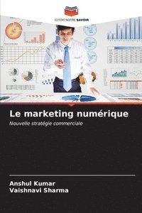 bokomslag Le marketing numrique