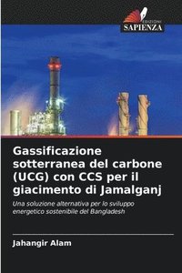 bokomslag Gassificazione sotterranea del carbone (UCG) con CCS per il giacimento di Jamalganj