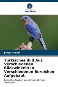 bokomslag Trkisches Bild Aus Verschiedenen Blickwinkeln In Verschiedenen Bereichen Aufgebaut