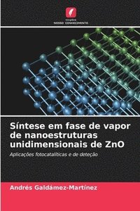 bokomslag Sntese em fase de vapor de nanoestruturas unidimensionais de ZnO
