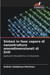 bokomslag Sintesi in fase vapore di nanostrutture monodimensionali di ZnO