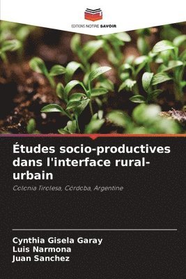 bokomslag tudes socio-productives dans l'interface rural-urbain