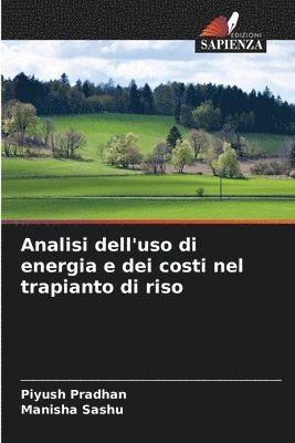 bokomslag Analisi dell'uso di energia e dei costi nel trapianto di riso