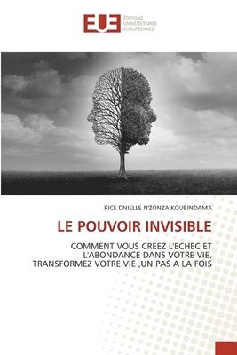 bokomslag Pouvoir Invisible