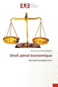 bokomslag Droit pnal conomique