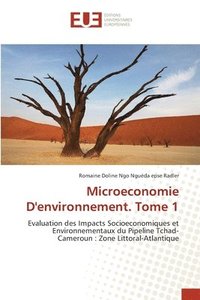 bokomslag Microeconomie D'environnement. Tome 1