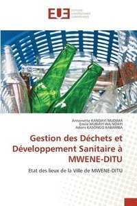 bokomslag Gestion des Dchets et Dveloppement Sanitaire  MWENE-DITU
