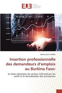 bokomslag Insertion professionnelle des demandeurs d'emplois au Burkina Faso