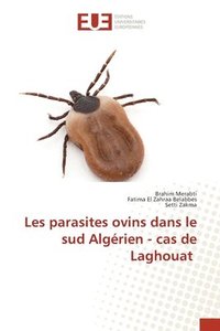 bokomslag Les parasites ovins dans le sud Algrien - cas de Laghouat