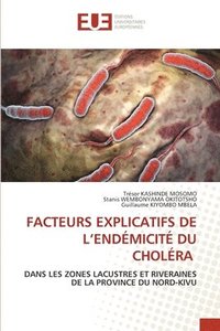 bokomslag Facteurs Explicatifs de l'Endmicit Du Cholra