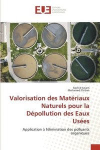 bokomslag Valorisation des Matriaux Naturels pour la Dpollution des Eaux Uses