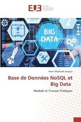 bokomslag Base de Donnes NoSQL et Big Data