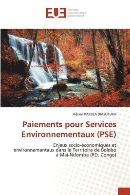 bokomslag Paiements pour Services Environnementaux (PSE)