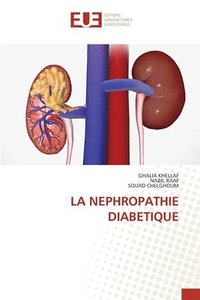 bokomslag La Nephropathie Diabetique