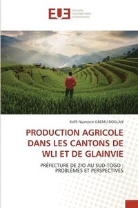 bokomslag Production Agricole Dans Les Cantons de Wli Et de Glainvie