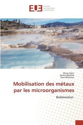 bokomslag Mobilisation des mtaux par les microorganismes