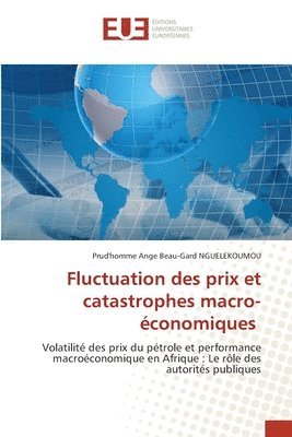 bokomslag Fluctuation des prix et catastrophes macro-conomiques