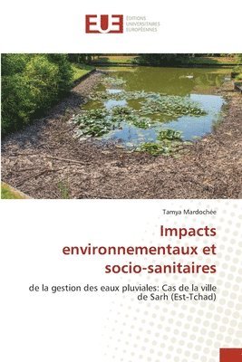 bokomslag Impacts environnementaux et socio-sanitaires