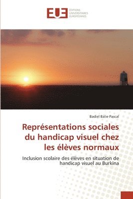 Reprsentations sociales du handicap visuel chez les lves normaux 1