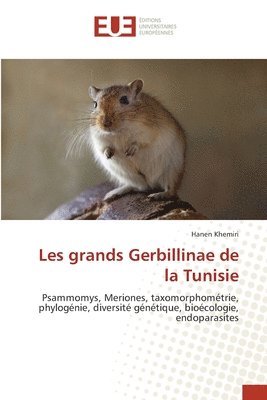 bokomslag Les grands Gerbillinae de la Tunisie